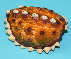 TRANSFORMERS BEAST WARS ORIGINAL SPARE PART BASIC CLASS TERRAGATOR FUZORS SHIELD 1998 HASBRO