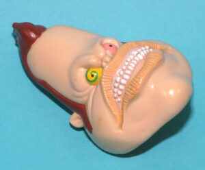 BIKER MICE FROM MARS ORIGINAL SPARE PART FREEDOM FIGHTERS NAPOLEON BRIE FACE MASK 1994 GALOOB