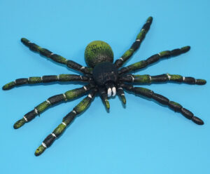 PVC BENDABLE TOY FIGURE SPIDER TARANTULA 1994 T.M. CHINA REALISTIC PROP