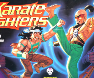 KARATE FIGHTERS THUNDERFOOT VS SKULL CRUSHER COMPLETE BOXED DUTCH EURO BOX 1994 MILTON BRADLEY