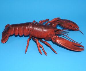 TRIPLE A LOBSTER 12″ PVC RUBBER TOY FIGURE 1992 AAA TOYS CHINA