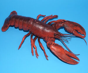 TRIPLE A LOBSTER 12″ PVC RUBBER TOY FIGURE 1992 AAA TOYS CHINA