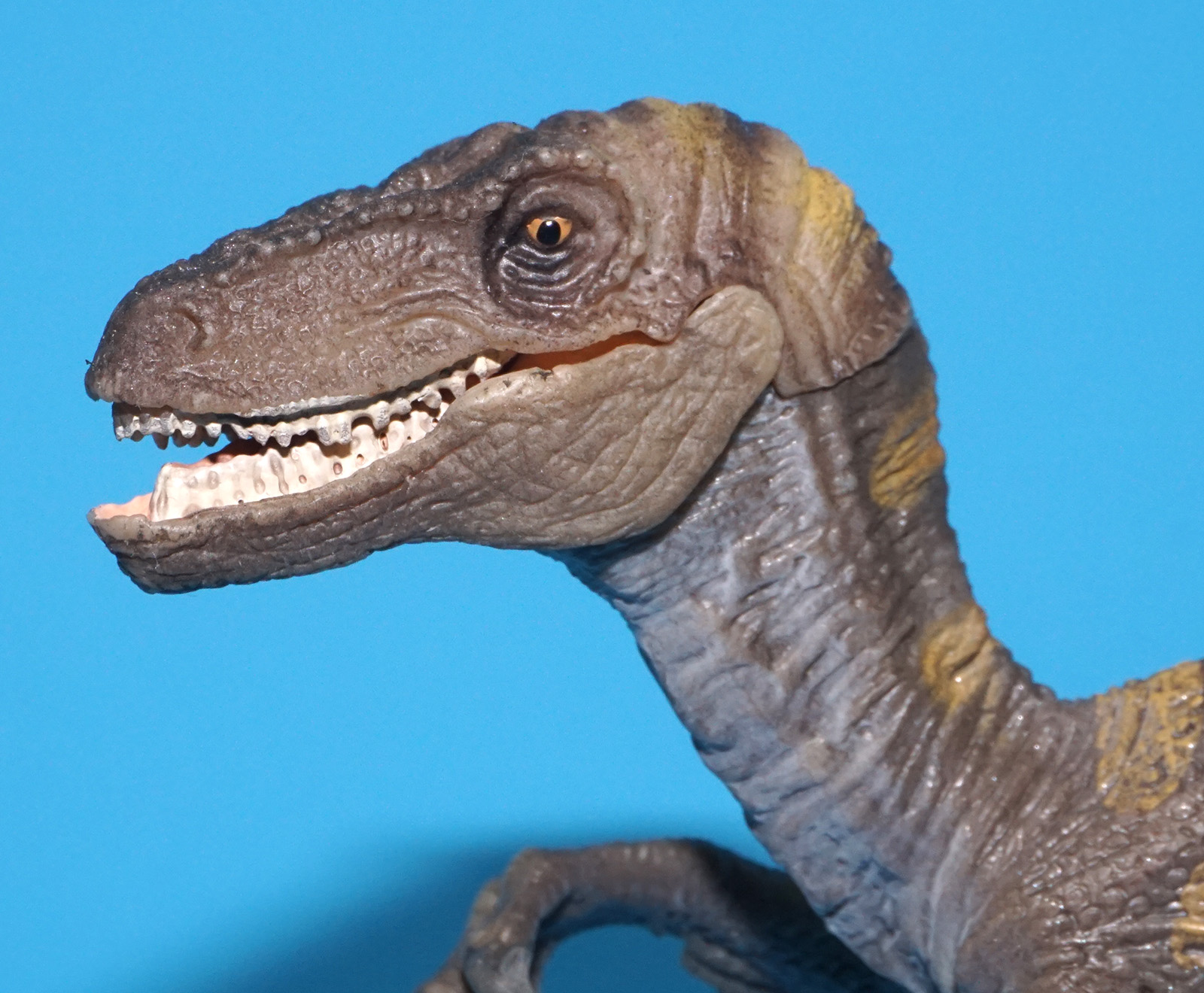 SCHLEICH PREHISTORIC DINOSAUR VELOCIRAPTOR 14524 2011 GERMANY