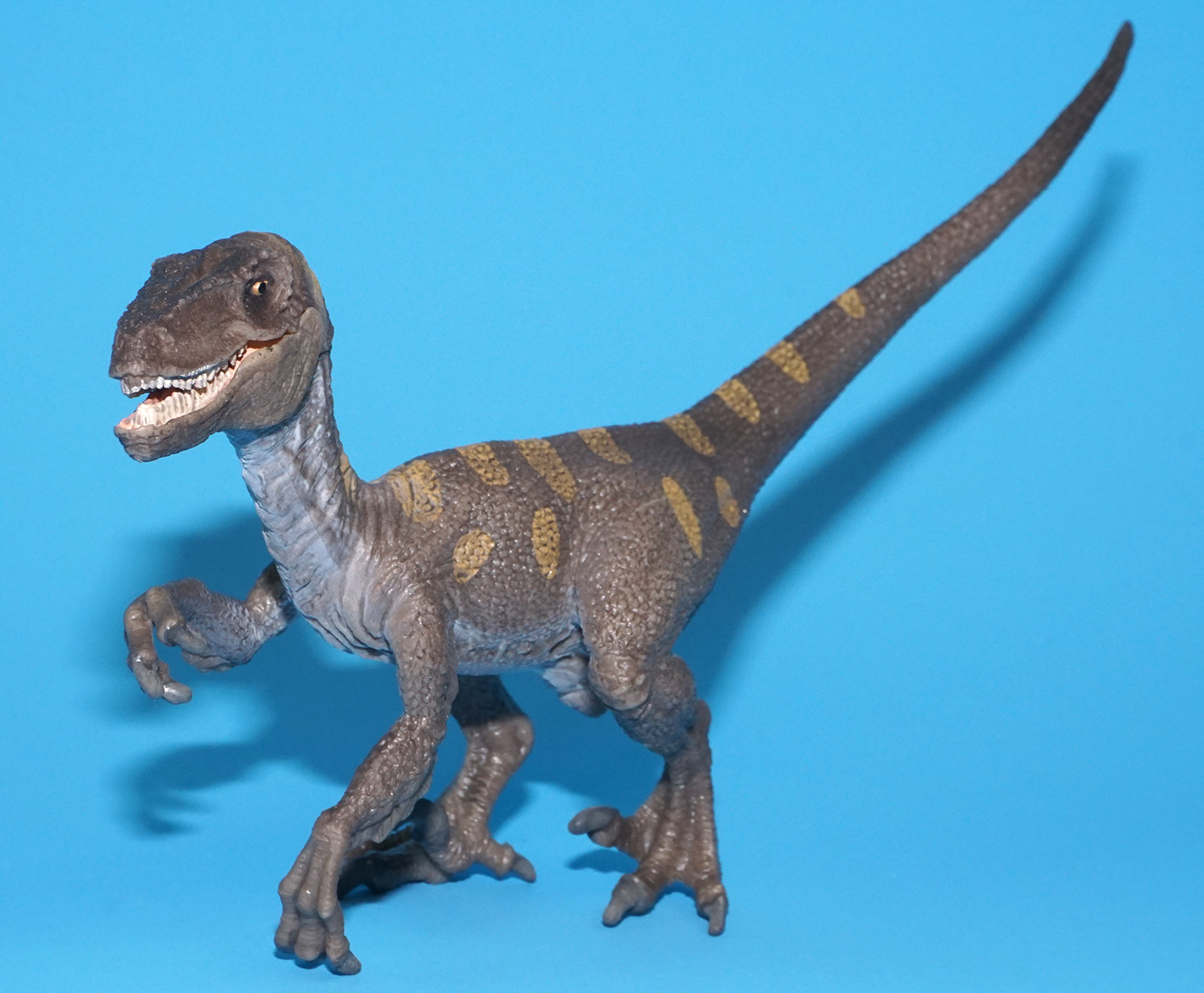 SCHLEICH PREHISTORIC DINOSAUR VELOCIRAPTOR 14524 2011 GERMANY - Image 3
