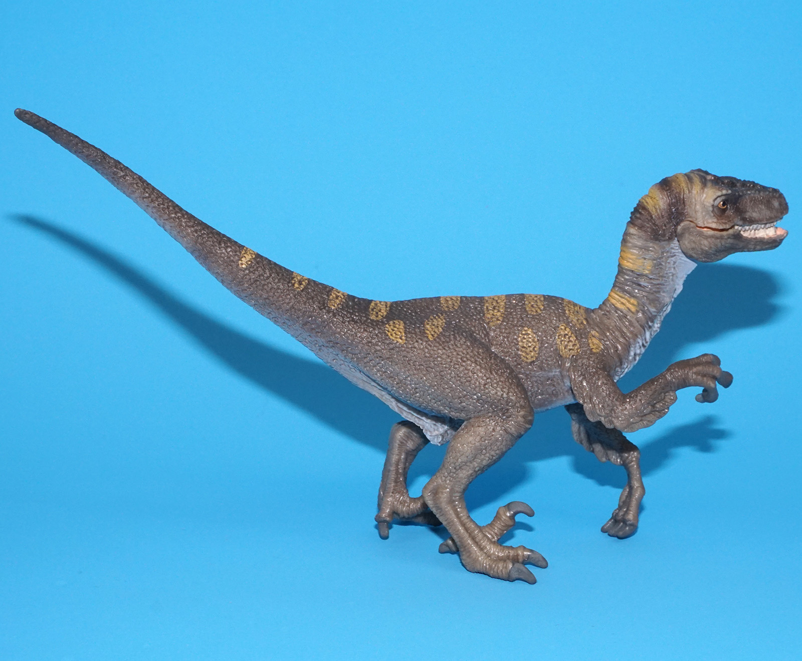 SCHLEICH PREHISTORIC DINOSAUR VELOCIRAPTOR 14524 2011 GERMANY - Image 4
